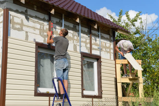 Best Stone Veneer Siding  in Rock Falls, IL